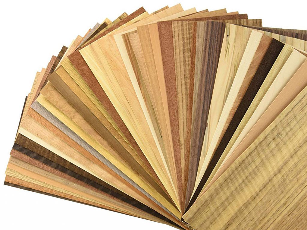 Veneer 4